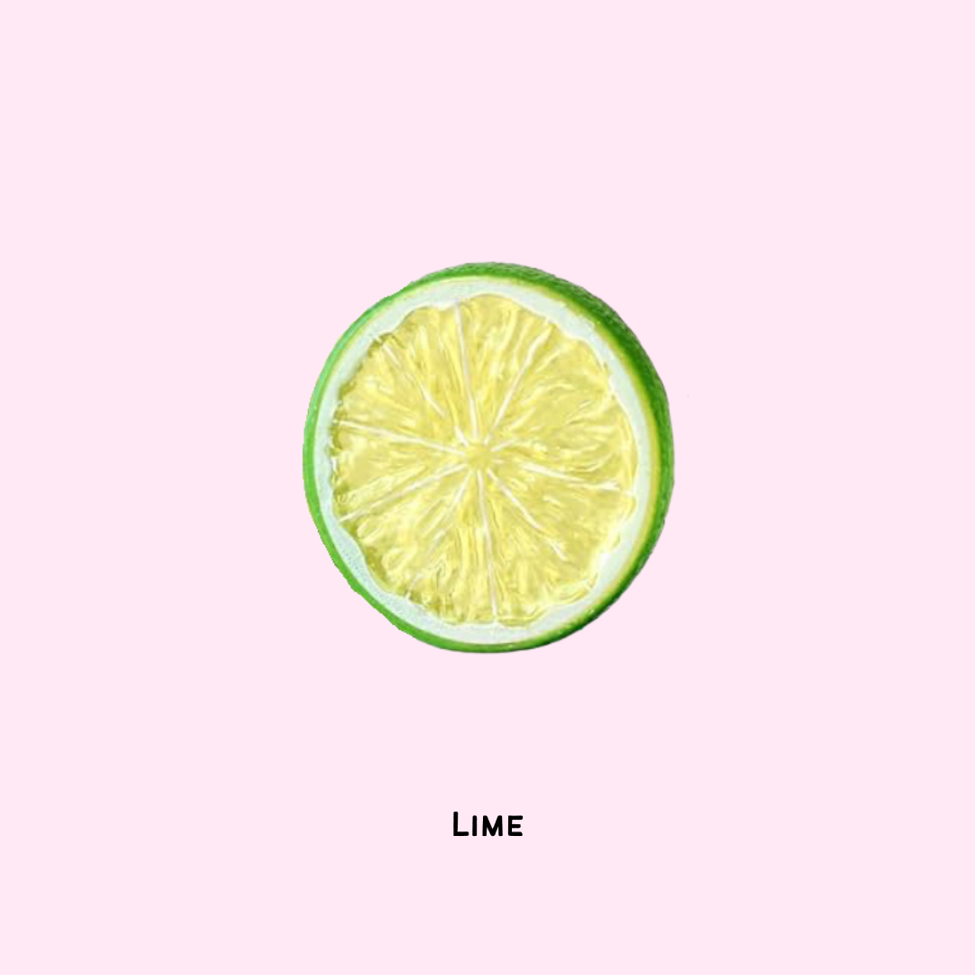 Ice Lid Design